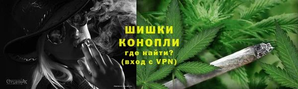 молекула духа Белокуриха