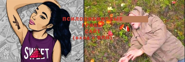 молекула духа Белокуриха