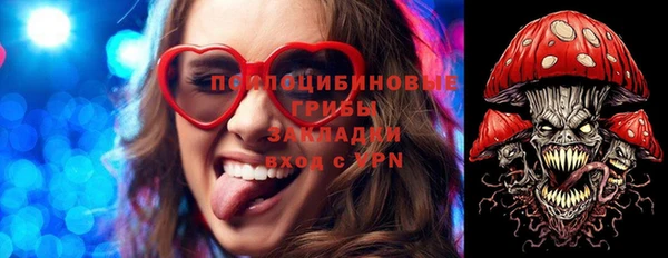 молекула духа Белокуриха